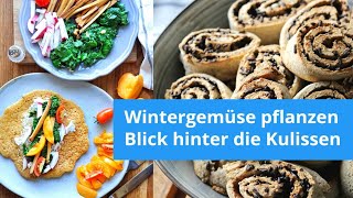 Mein Alltag! Gemüse für den Winter pflanzen und Food-Fotografie #selbstversorger #veganerezepte