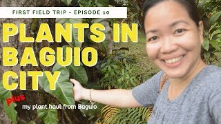 Plants in Baguio City + plant haul | EP10