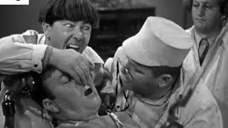 The Three Stooges -  Scene_19 | Dentist For a Day