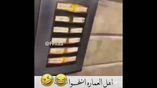 اهل العماره انلحسوا😂🤣