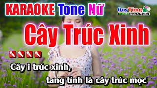 Cây Trúc Xinh || Karaoke - Tone Nữ || Nhạc Sống Duy Tùng