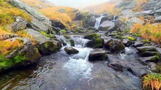 water sound for relaxing sleep 😴#nature #naturesounds #waterfall #water #naturelovers