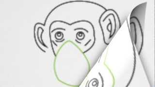 How to draw a CHIMP or CHIMPANZEE step by step.