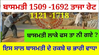 1509 Basmati price today punjab || basmati rate today । ਬਾਸਮਤੀ ਦਾ ਰੇਟ