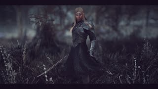 [SkyrimSE MOD] HDT-SMP Thranduil's Armory