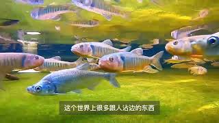 一个领导牛不牛，看他的下属就好了 #企业管理  #商业思维  #老板思维