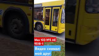 Маз 103 №5 АЕ 9518-1 #маз #automobile #дальнобой #автобус #driver #маз103 #fry #travel #music