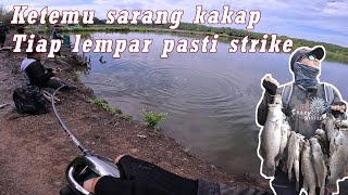 Hanya mancing di 1 titik, Panen ikan kakap Sampai di pikul