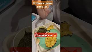 Приехал друг покормил  его ,достойно, путешествия блог