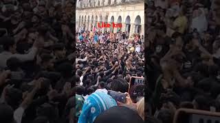 Alamder#Ya abbas#ya Hussain #viralvideo video Hooghly imambara 2023