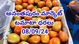 8 September 2024|| today Tomato rate in Ananthapuram market | Ananthapuram market tomato rate today