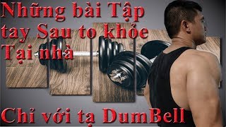 Bí quyết tập tay sau to khỏe tại nhà chỉ với tạ Đơn | Hướng dẫn tập Gym tại nhà