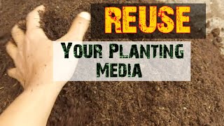 REUSE  Your Planting Media