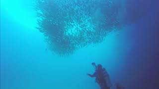 Video Dive Log Cabo