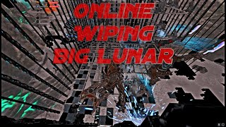 Online Wiping Big Lunar | Elite Ark 8M | NiceOne