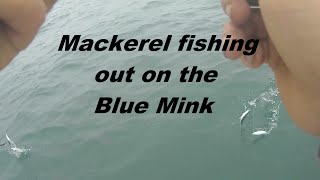 Mackerel fishing out on the blue mink charter boat