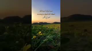 ربي❤