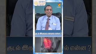 குடல் இறக்கம் என்றால் என்ன? | Dr. (Major)R S Rengan  | Laparoscopic Surgeon