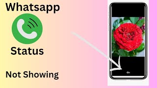 Whatsapp status views not showing