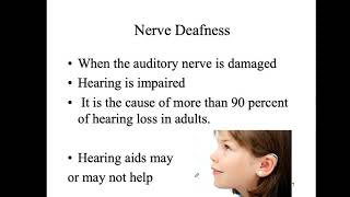 Bio 4_Module 10_Ch17_Senses part 6