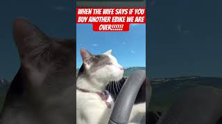 Goodbye!🖐️ #comedy #humor #funny #embn #emtb #bikelife #bike #cat #kitten #travel #adventure