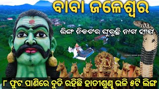 BABA JALESWAR | SANTIKA | BALANGIR | ସାପ କାମୁଡ଼ିଲେ ବାବା ଭଲ କରିଦିଅନ୍ତି #odisha