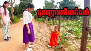 លោកកូនសីហា ជូនញោមមើលដំណាំ