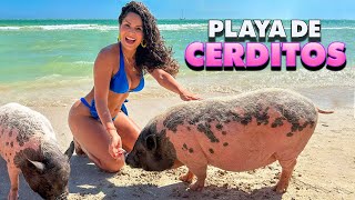 Visité la PLAYA de los CERDITOS 🐷 y OJOS de AGUA El Corchito, Yucatán