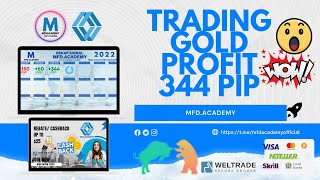 Trading gold profit 344 pip