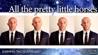 All the pretty little horses (Michigan Jake) - Barbershop Quartet