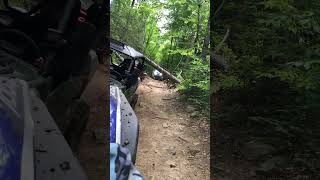 Trail Limbo