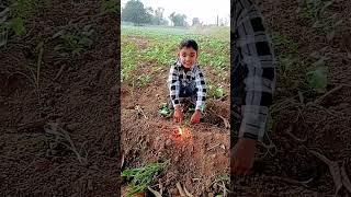 # happy dipawali short video YouTube