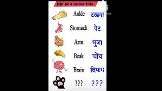 Body parts name शरीर के अंगों के नाम #ankle #arm #brain #stomach #body #shorts #english #viralshort