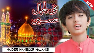 #new Best Qasida 2023_#haider mansoor malangi_#Best Qasida Wah Hussain_Shahid Studio