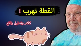 القطة تهرب .. درس هاام وممتع .. / محمد راتب النابلسي