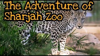 SHARJAH ZOO | SHARJAH DESERT PARK | ARABIA'S WILDLIFE CENTRE | INDOOR ZOO | PLACES TO VISIT SHARJAH|