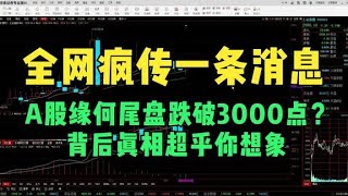 全网疯传一条消息，A股缘何尾盘跌破3000点？背后真相超乎你想象