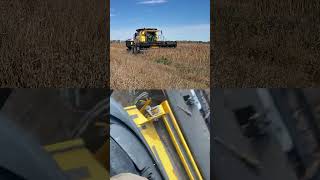 Hemp Grain Harvest - Formation Ag Clean Cut