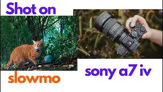 Slow motion videos - shot on Sony Alpha #sonyalpha #mirrorless #asmr #slowmo #35mm