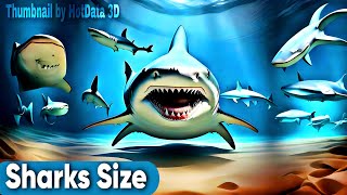 Shark Size 3D Comparison