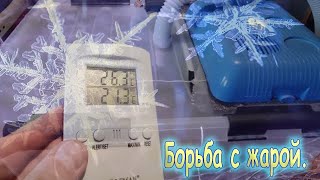 50. Пытаемся охладить домашнюю микро грибную ферму ежовика гребенчатого.