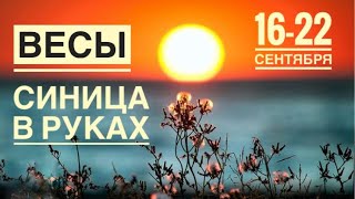 Весы ♎️ 16-22 сентября 2024 года 🗝🍀❤️🌈☀️Таро Ленорман прогноз предсказания