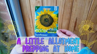 A short video. Starting off the sunflowers at home 🌻