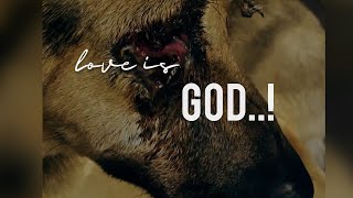 Recovery story of a Dog | Anbe Sivam | Yaar Yaar Sivam