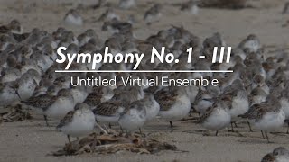 Timothy Mahr: Symphony No. 1 (III. I thank my God upon every remembrance of you) - UVE