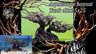 aquascape bonsai tank 40x25x25