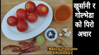 खुर्सानी र गोल्भेडाको पिरो अचार || Khursani ko Achar || Golveda ko Achar || Spicy Chilly Pickle