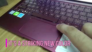 ASUS ZenBook UX333 Burgundy Red Overview