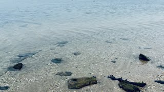 Long Island New York North Shore! Relaxing Calm Ocean Walk 🏝