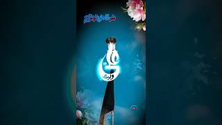 Ya Ali a.s madad 🙌 #youtubes #viralvideos #youtubeshorts #viralreels #viralshort #trending #foryou